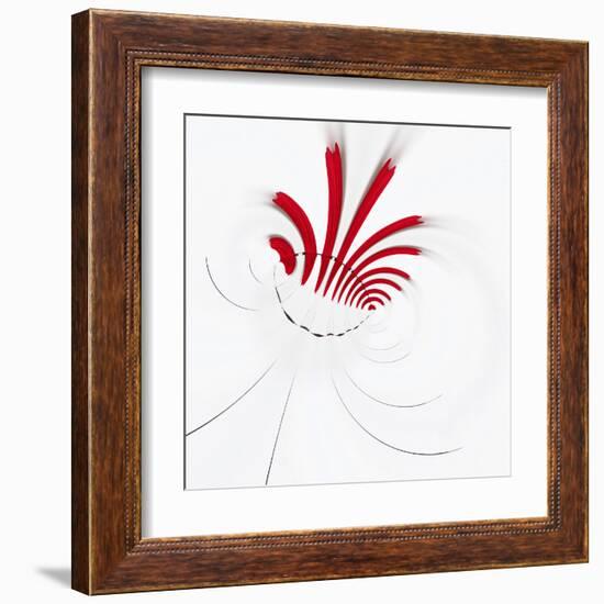 Variations on a Circle 18-Philippe Sainte-Laudy-Framed Premium Photographic Print