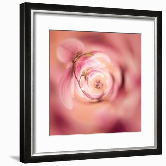 Variations on a Circle 19-Philippe Sainte-Laudy-Framed Photographic Print