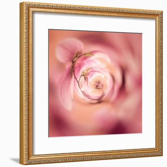 Variations on a Circle 19-Philippe Sainte-Laudy-Framed Photographic Print