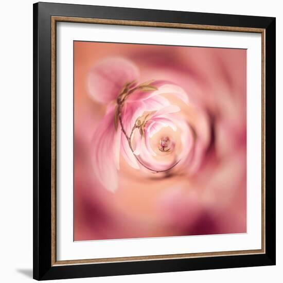 Variations on a Circle 19-Philippe Sainte-Laudy-Framed Photographic Print