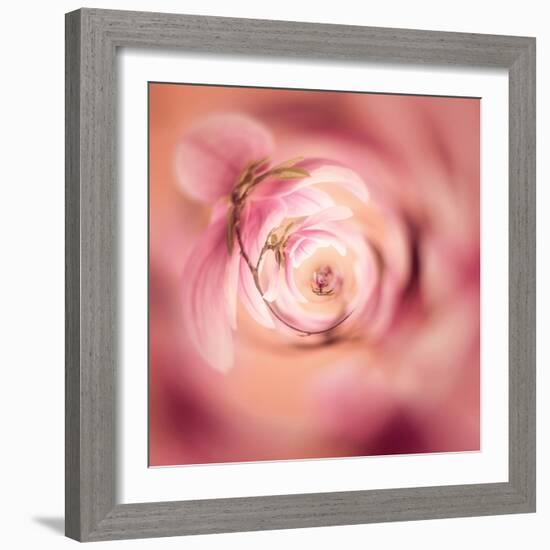 Variations On A Circle 19-Philippe Sainte-Laudy-Framed Photographic Print