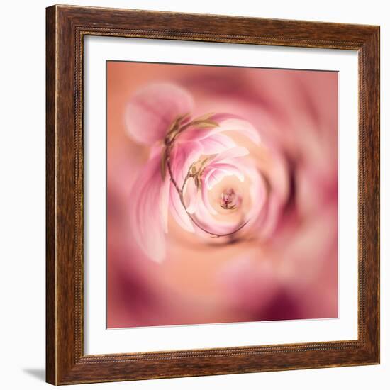 Variations On A Circle 19-Philippe Sainte-Laudy-Framed Photographic Print