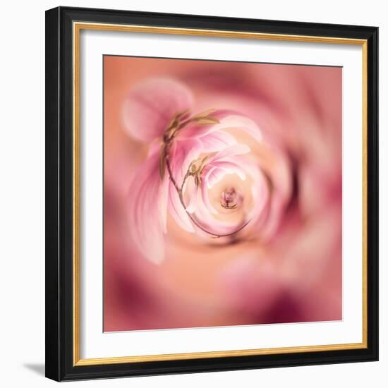 Variations On A Circle 19-Philippe Sainte-Laudy-Framed Photographic Print