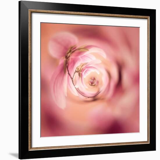 Variations On A Circle 19-Philippe Sainte-Laudy-Framed Giclee Print