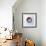 Variations On A Circle 1-Philippe Sainte-Laudy-Framed Photographic Print displayed on a wall