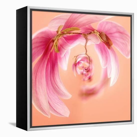 Variations on a Circle 22-Philippe Sainte-Laudy-Framed Premier Image Canvas