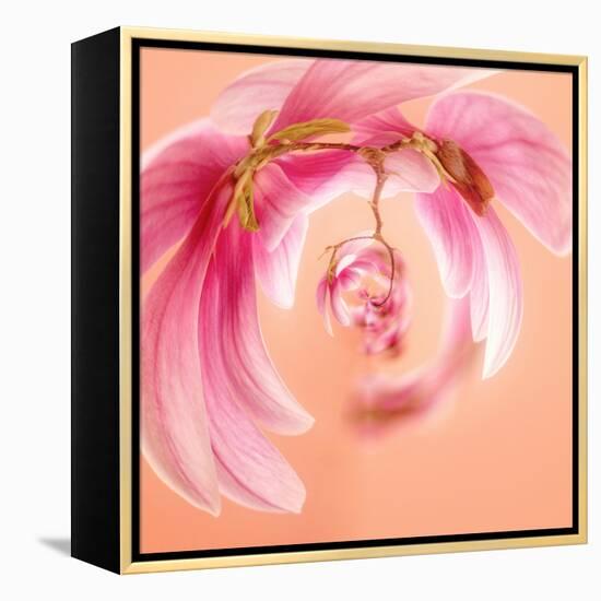Variations on a Circle 22-Philippe Sainte-Laudy-Framed Premier Image Canvas