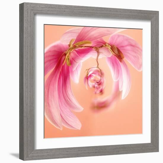 Variations On A Circle 22-Philippe Sainte-Laudy-Framed Photographic Print