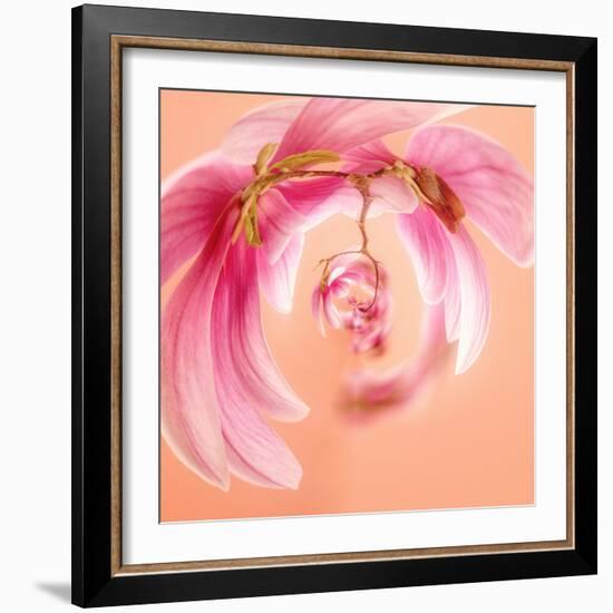 Variations On A Circle 22-Philippe Sainte-Laudy-Framed Photographic Print