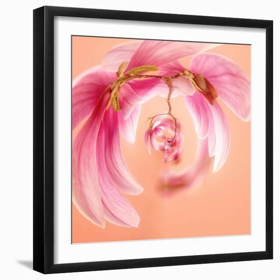 Variations On A Circle 22-Philippe Sainte-Laudy-Framed Photographic Print