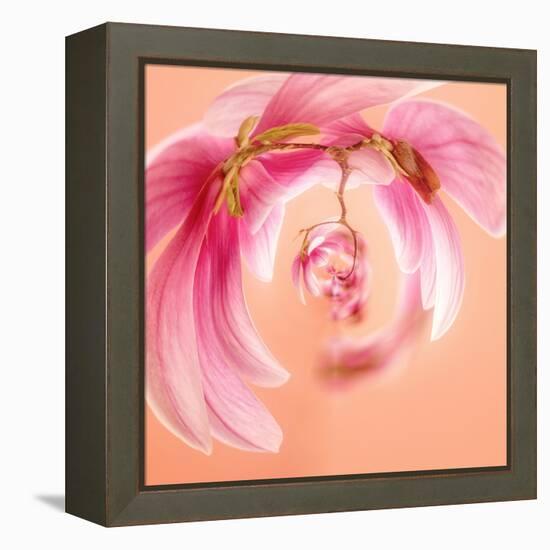 Variations On A Circle 22-Philippe Sainte-Laudy-Framed Stretched Canvas