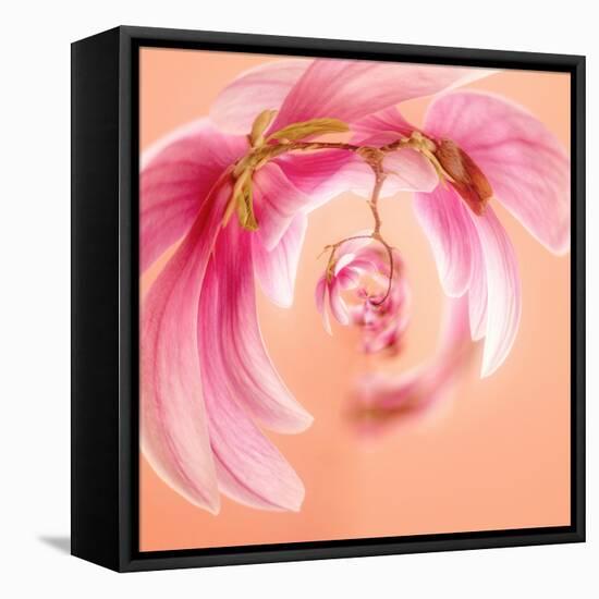 Variations On A Circle 22-Philippe Sainte-Laudy-Framed Stretched Canvas