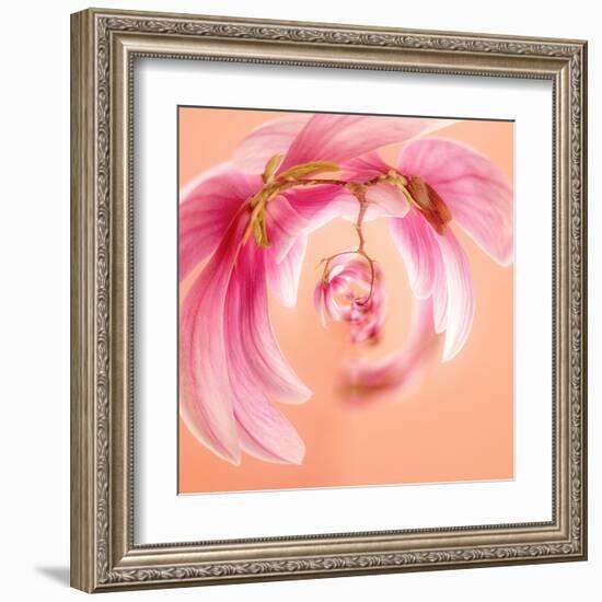 Variations on a Circle 22-Philippe Sainte-Laudy-Framed Premium Photographic Print