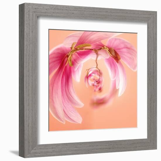 Variations on a Circle 22-Philippe Sainte-Laudy-Framed Premium Photographic Print