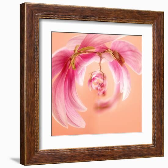 Variations on a Circle 22-Philippe Sainte-Laudy-Framed Premium Photographic Print