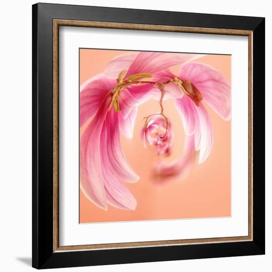 Variations on a Circle 22-Philippe Sainte-Laudy-Framed Premium Photographic Print