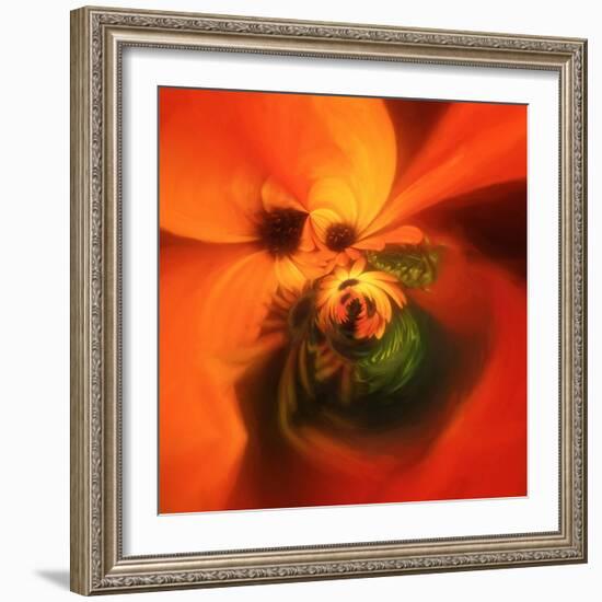 Variations on a Circle 23-Philippe Sainte-Laudy-Framed Photographic Print