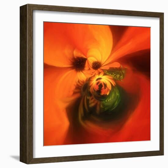 Variations on a Circle 23-Philippe Sainte-Laudy-Framed Photographic Print