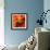 Variations on a Circle 23-Philippe Sainte-Laudy-Framed Photographic Print displayed on a wall