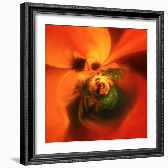 Variations on a Circle 23-Philippe Sainte-Laudy-Framed Photographic Print
