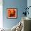 Variations on a Circle 23-Philippe Sainte-Laudy-Framed Photographic Print displayed on a wall