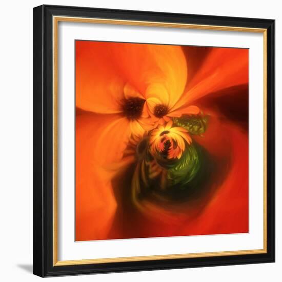 Variations on a Circle 23-Philippe Sainte-Laudy-Framed Photographic Print