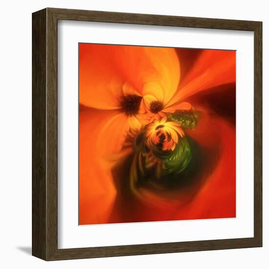 Variations on a Circle 23-Philippe Sainte-Laudy-Framed Premium Photographic Print