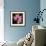 Variations on a Circle 24-Philippe Sainte-Laudy-Framed Photographic Print displayed on a wall