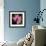 Variations on a Circle 24-Philippe Sainte-Laudy-Framed Photographic Print displayed on a wall