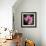 Variations on a Circle 24-Philippe Sainte-Laudy-Framed Photographic Print displayed on a wall