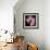 Variations on a Circle 24-Philippe Sainte-Laudy-Framed Photographic Print displayed on a wall