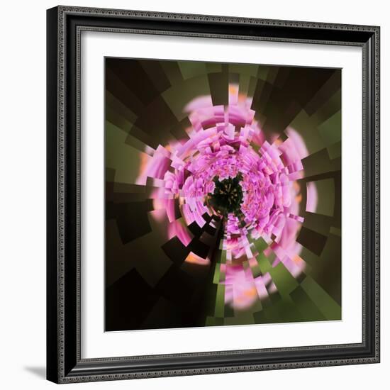 Variations on a Circle 24-Philippe Sainte-Laudy-Framed Photographic Print