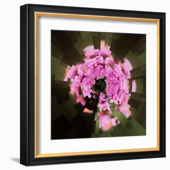 Variations on a Circle 24-Philippe Sainte-Laudy-Framed Premium Photographic Print