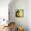 Variations on a Circle 25-Philippe Sainte-Laudy-Framed Premier Image Canvas displayed on a wall