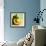 Variations on a Circle 25-Philippe Sainte-Laudy-Framed Photographic Print displayed on a wall