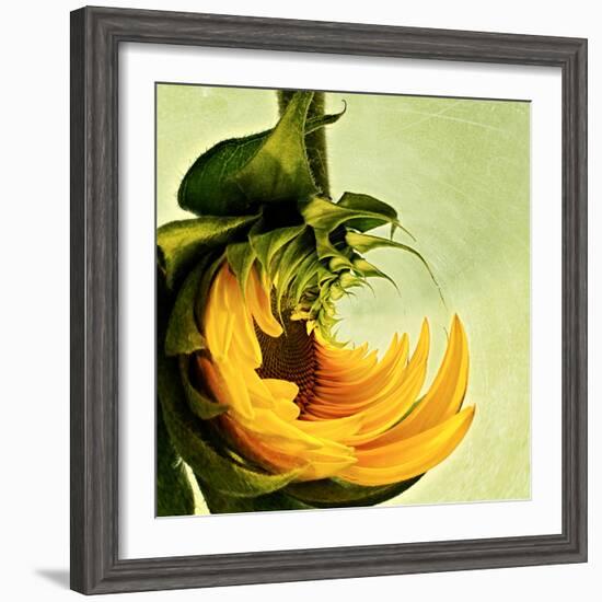 Variations on a Circle 25-Philippe Sainte-Laudy-Framed Photographic Print