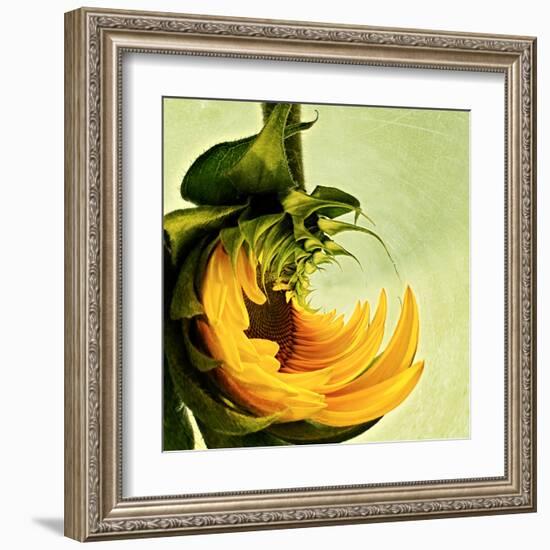 Variations on a Circle 25-Philippe Sainte-Laudy-Framed Premium Photographic Print