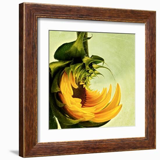 Variations on a Circle 25-Philippe Sainte-Laudy-Framed Premium Photographic Print