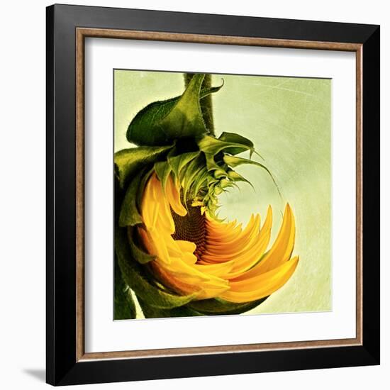 Variations on a Circle 25-Philippe Sainte-Laudy-Framed Premium Photographic Print