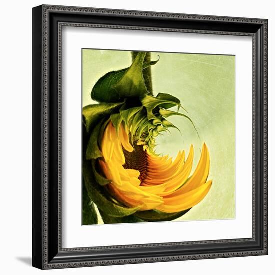 Variations on a Circle 25-Philippe Sainte-Laudy-Framed Premium Photographic Print