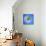 Variations on a Circle 27-Philippe Sainte-Laudy-Photographic Print displayed on a wall