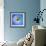 Variations on a Circle 27-Philippe Sainte-Laudy-Framed Photographic Print displayed on a wall