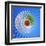 Variations on a Circle 27-Philippe Sainte-Laudy-Framed Premium Photographic Print