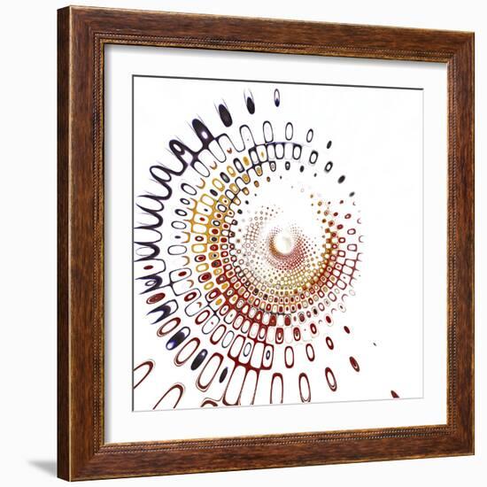 Variations on a Circle 28-Philippe Sainte-Laudy-Framed Photographic Print