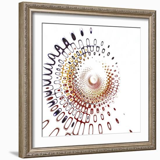 Variations On A Circle 28-Philippe Sainte-Laudy-Framed Photographic Print