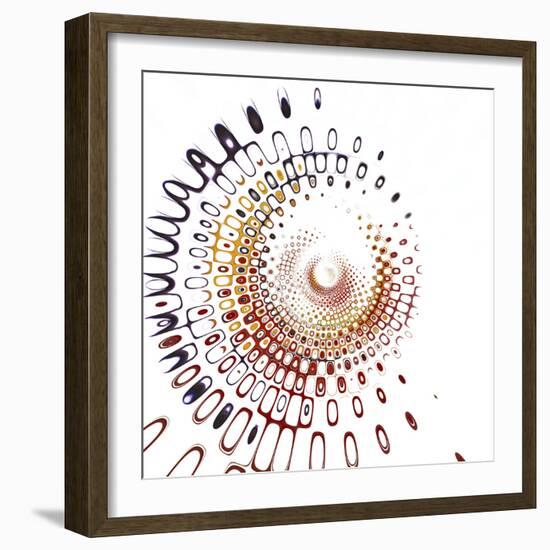 Variations On A Circle 28-Philippe Sainte-Laudy-Framed Photographic Print