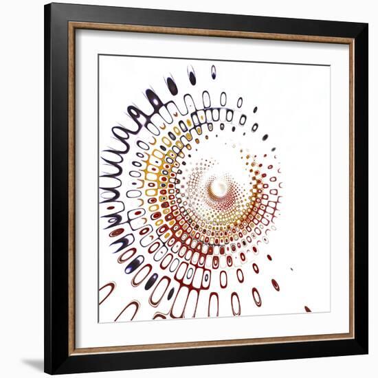 Variations On A Circle 28-Philippe Sainte-Laudy-Framed Photographic Print