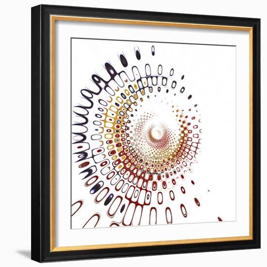 Variations On A Circle 28-Philippe Sainte-Laudy-Framed Photographic Print