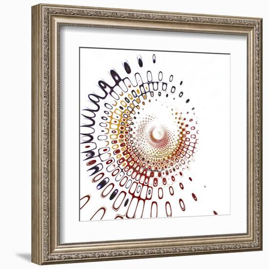 Variations on a Circle 28-Philippe Sainte-Laudy-Framed Premium Photographic Print