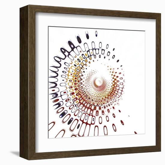 Variations on a Circle 28-Philippe Sainte-Laudy-Framed Premium Photographic Print